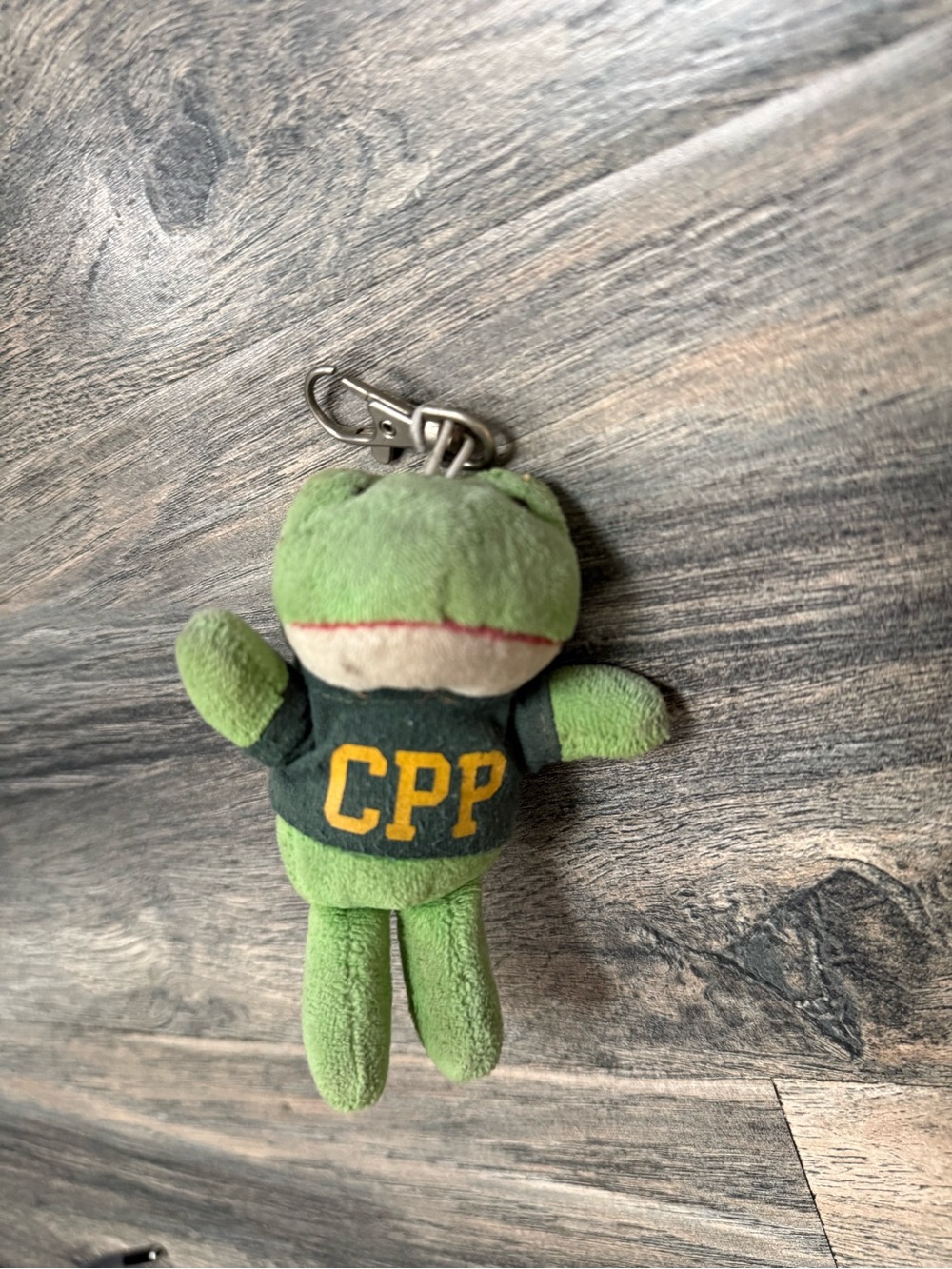 Frog Mascot Plushie Keychain
